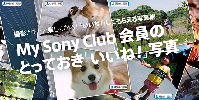 撮影がもっと楽しくなる!「いいね!」してもらえる写真術 My Sony Club 会員のとっておき「いいね!」写真