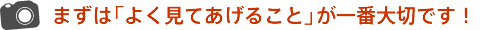 まずは「よく見てあげること」が一番大切です!