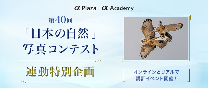 ��40��u���{�̎��R�v�ʐ^�R���e�X�g�A�����ʊ�� �I�����C���ƃ��A���ōu�]�C�x���g�J�ÁI